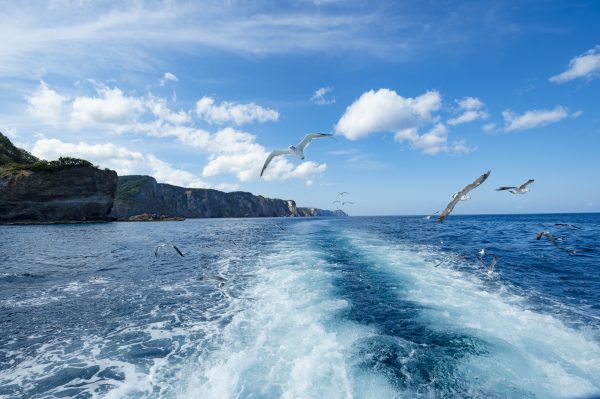 しっかり供養まで⾏う海洋散⾻葬