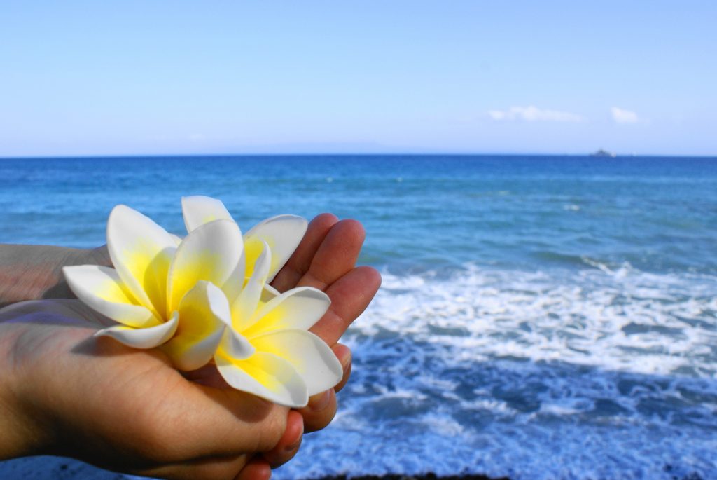 海洋散骨の一般的な流れ