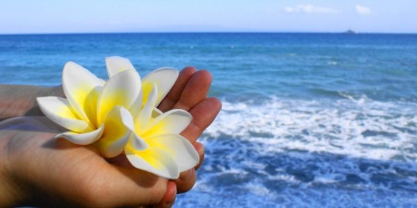 海洋散骨の一般的な流れとは？注意点や海洋散骨のメリットなどを解説サムネイル